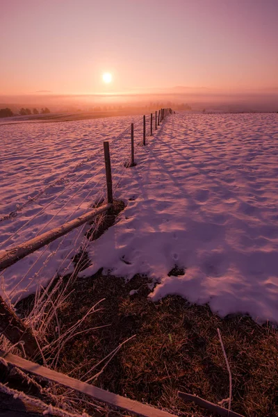 Winter Landschap Schilderachtige Verse Sneeuw Tegen Purple Violet Hemel Met — Stockfoto