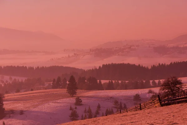 Vinter Landskap Natursköna Färsk Snö Mot Lila Violet Himmel Med — Stockfoto