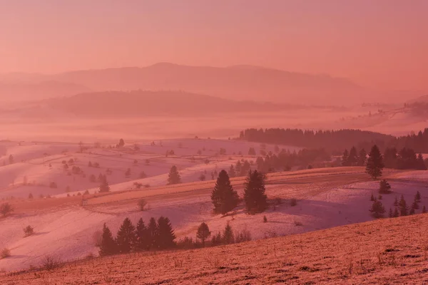 Vinter Landskap Natursköna Färsk Snö Mot Lila Violet Himmel Med — Stockfoto