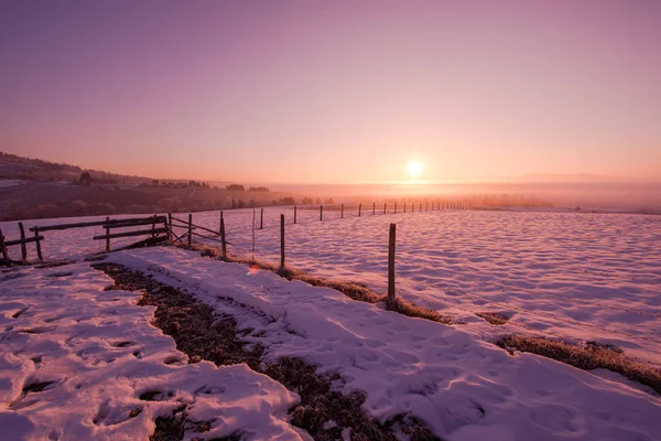 Winterlandschaft Szenischer Neuschnee Gegen Violetten Himmel Mit Langen Schatten Einem — Stockfoto