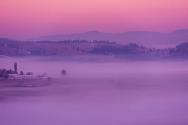 Vinter Landskap Natursköna Färsk Snö Mot Lila Violet Himmel Med — Stockfoto