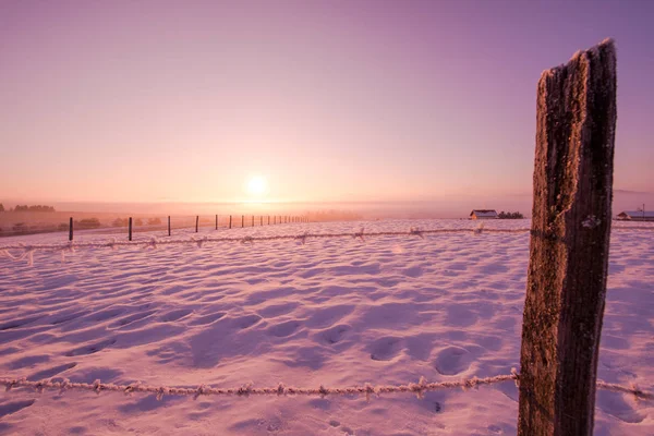 Winterlandschaft Szenischer Neuschnee Gegen Violetten Himmel Mit Langen Schatten Einem — Stockfoto