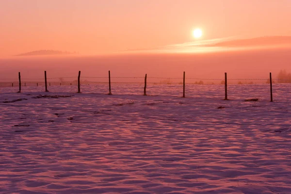 Winter Landschap Schilderachtige Verse Sneeuw Tegen Purple Violet Hemel Met — Stockfoto