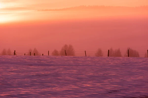 Winter Landschap Schilderachtige Verse Sneeuw Tegen Purple Violet Hemel Met — Stockfoto