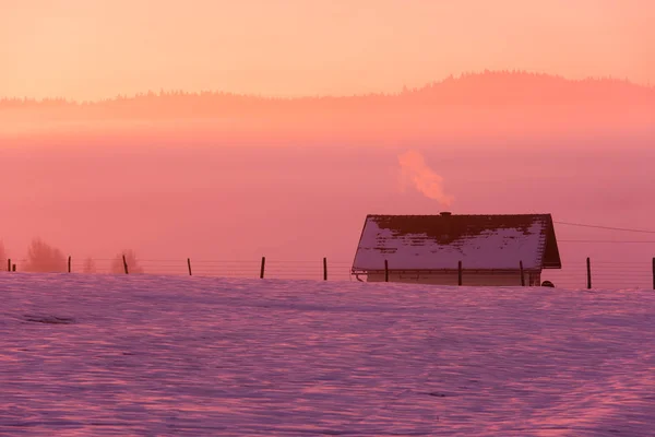 Paysage Hivernal Neige Fraîche Scénique Contre Ciel Violet Avec Longues — Photo