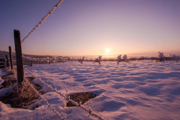 Winter Landschap Schilderachtige Verse Sneeuw Tegen Purple Violet Hemel Met — Stockfoto