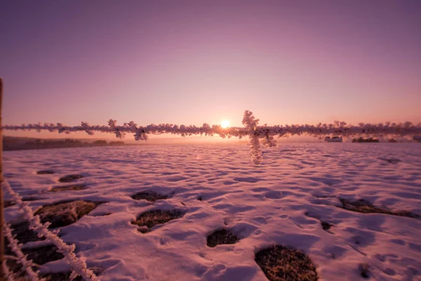 Stacheldrahtzaun Bei Herrlichem Wintermorgen Sonnenaufgang Mit Frost Und Neuschnee Als — Stockfoto