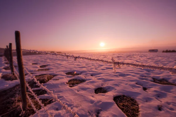 Stacheldrahtzaun Bei Herrlichem Wintermorgen Sonnenaufgang Mit Frost Und Neuschnee Als — Stockfoto