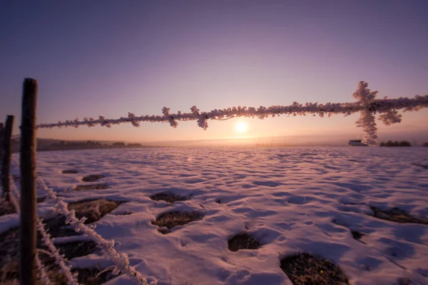 Prikkeldraad Hek Mooie Winter Ochtend Zonsopgang Met Vorst Verse Sneeuw — Stockfoto