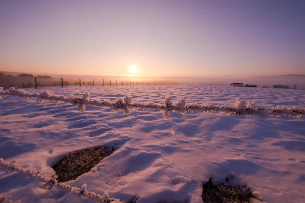 Prikkeldraad Hek Mooie Winter Ochtend Zonsopgang Met Vorst Verse Sneeuw — Stockfoto