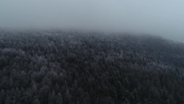 Vue Aérienne Route Campagne Début Hiver — Video