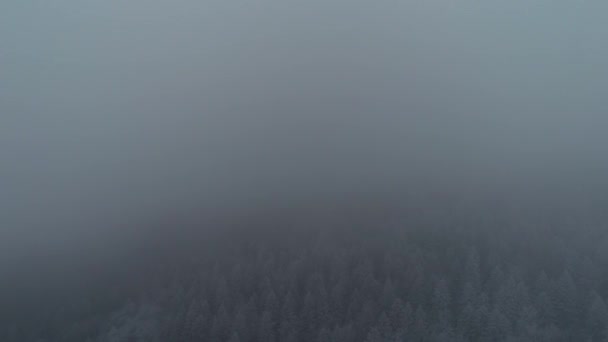 Vista Aerea Della Strada Campagna All Inizio Dell Inverno — Video Stock