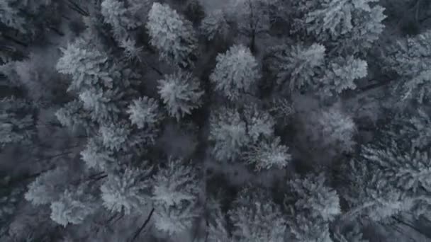 Vista Aerea Della Strada Campagna All Inizio Dell Inverno — Video Stock