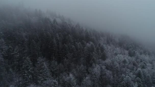 Aerial View Country Road Early Winter — Stock Video