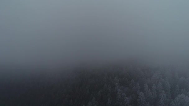 Luftaufnahme Der Landstraße Frühen Winter — Stockvideo