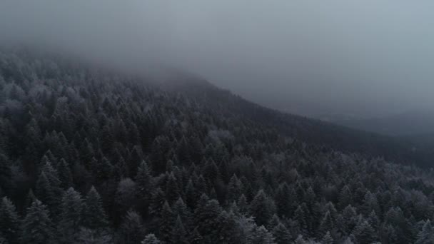 Vista Aérea Estrada Rural Início Inverno — Vídeo de Stock