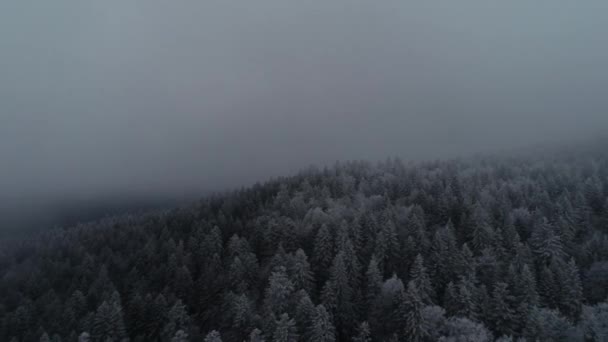Luftfoto Landevejen Tidlig Vinter – Stock-video
