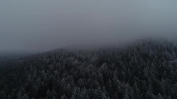 Vue Aérienne Route Campagne Début Hiver — Video