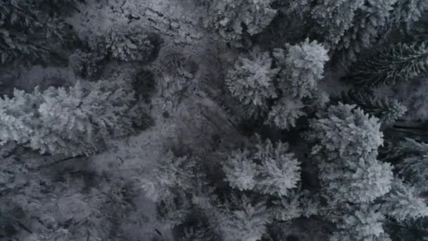 Вид Воздуха Проселочную Дорогу Начале Зимы — стоковое видео