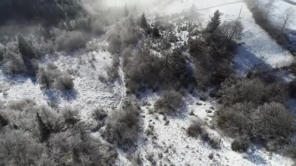 Vista Aérea Carretera Campo Principios Invierno — Vídeos de Stock