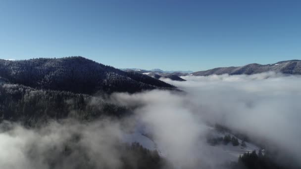 Luchtfoto Van Landweg Vroege Winter — Stockvideo