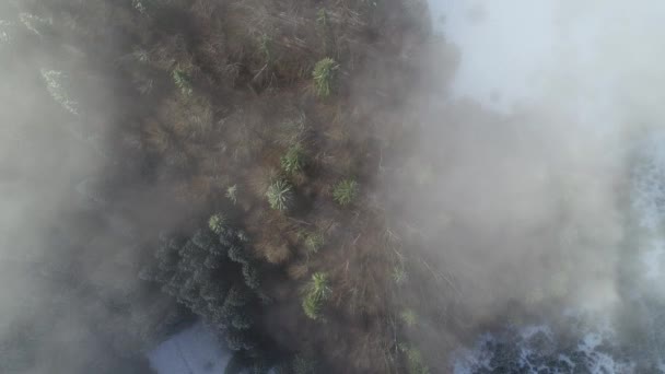 vue aérienne de la route de campagne au début de l'hiver 