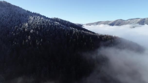 Luftfoto Landevejen Tidlig Vinter – Stock-video