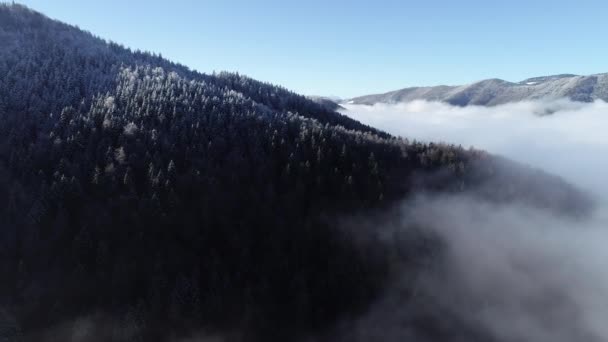 Vista Aerea Della Strada Campagna All Inizio Dell Inverno — Video Stock