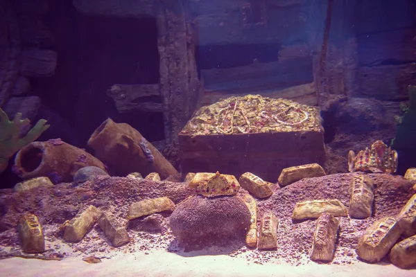 Empty Aquarium Decor Opened Chest Treasures Golden Bars — Stock Photo, Image