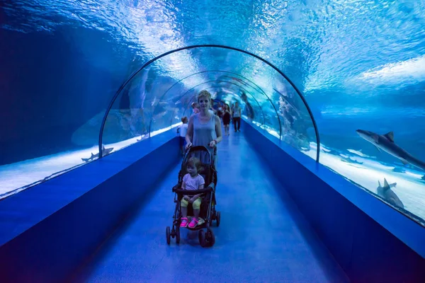 幸福的年轻家庭与小女儿在婴儿推车愉快地度过时间在水下水族馆 — 图库照片