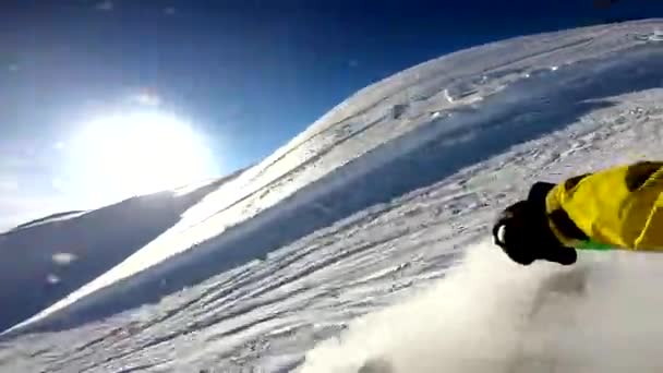 Winter Freeride Skiën Verse Sneeuw Poeder Alpen Zonnige Dag Gopro — Stockvideo