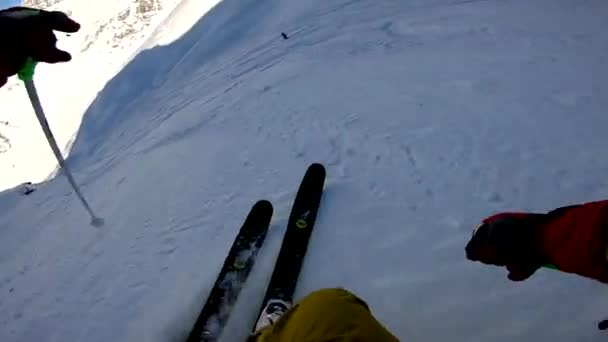 Winter Freeride Skiën Verse Sneeuw Poeder Alpen Zonnige Dag Gopro — Stockvideo