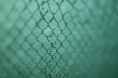 yılan deri arka plan doku deseninin
