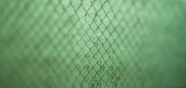 Абстрактная Текстура Кожи Змеи — стоковое фото