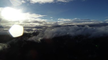 bulutlar ve yağmur ile orman manzara günbatımı üzerinde hava sinek 