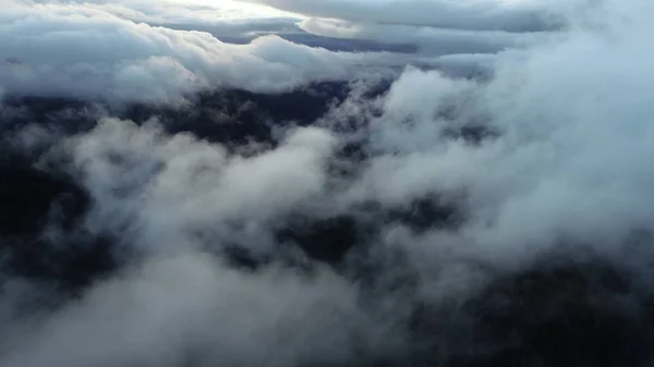 Légi Fly Erdő Táj Naplemente Fény Eső Felhők Felett — Stock Fotó