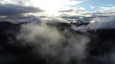 bulutlar ve yağmur ile orman manzara günbatımı üzerinde hava sinek 