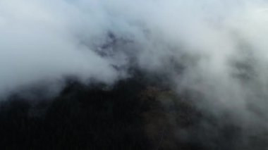 bulutlar ve yağmur ile orman manzara günbatımı üzerinde hava sinek 