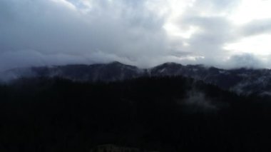 bulutlar ve yağmur ile orman manzara günbatımı üzerinde hava sinek