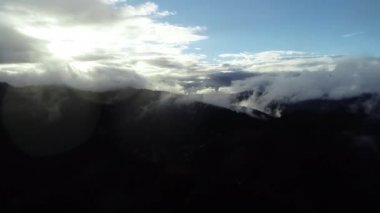 bulutlar ve yağmur ile orman manzara günbatımı üzerinde hava sinek