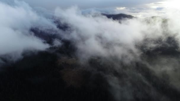 Воздушная Муха Над Облаками Лесном Ландшафте Заката Легким Дождем — стоковое видео
