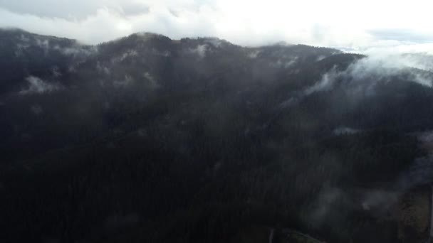 Mosca Aérea Sobre Las Nubes Paisaje Del Bosque Puesta Sol — Vídeos de Stock