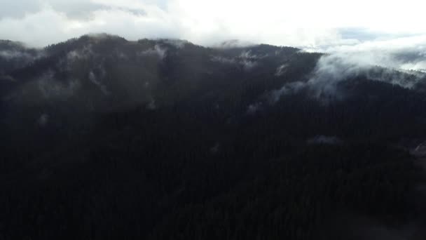 Luchtfoto Vliegen Wolken Bos Landschap Zonsondergang Met Lichte Regen — Stockvideo