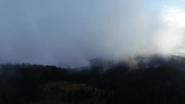 Mosca Aérea Sobre Las Nubes Paisaje Del Bosque Puesta Sol — Vídeos de Stock