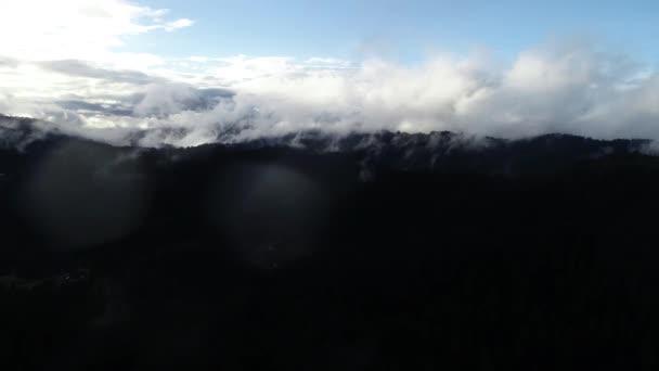 Luchtfoto Vliegen Wolken Bos Landschap Zonsondergang Met Lichte Regen — Stockvideo