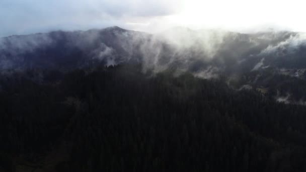 Mosca Aérea Sobre Las Nubes Paisaje Del Bosque Puesta Sol — Vídeos de Stock
