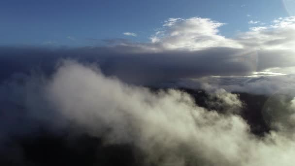 Luchtfoto Vliegen Wolken Bos Landschap Zonsondergang Met Lichte Regen — Stockvideo