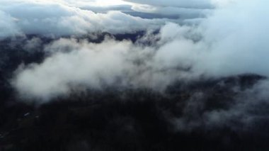 bulutlar ve yağmur ile orman manzara günbatımı üzerinde hava sinek