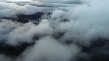 bulutlar ve yağmur ile orman manzara günbatımı üzerinde hava sinek