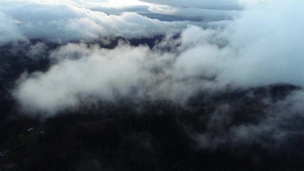 Luchtfoto Vliegen Wolken Bos Landschap Zonsondergang Met Lichte Regen — Stockvideo